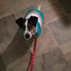 Meet your Posher, Fiona